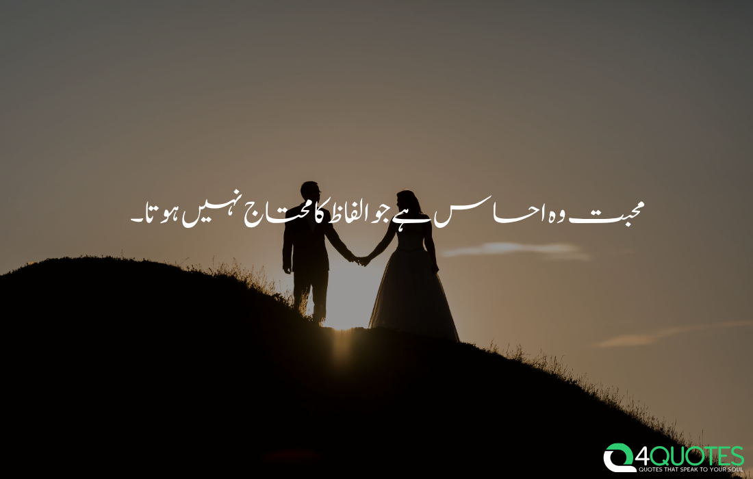 Beautiful Urdu love quote about love without words